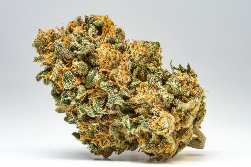 HHC Flower 101: Understanding Its Origins And Potential