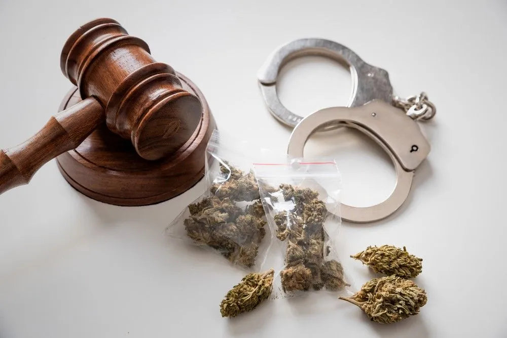 Is Delta-9 Legal In Pennsylvania? (2024 Data)