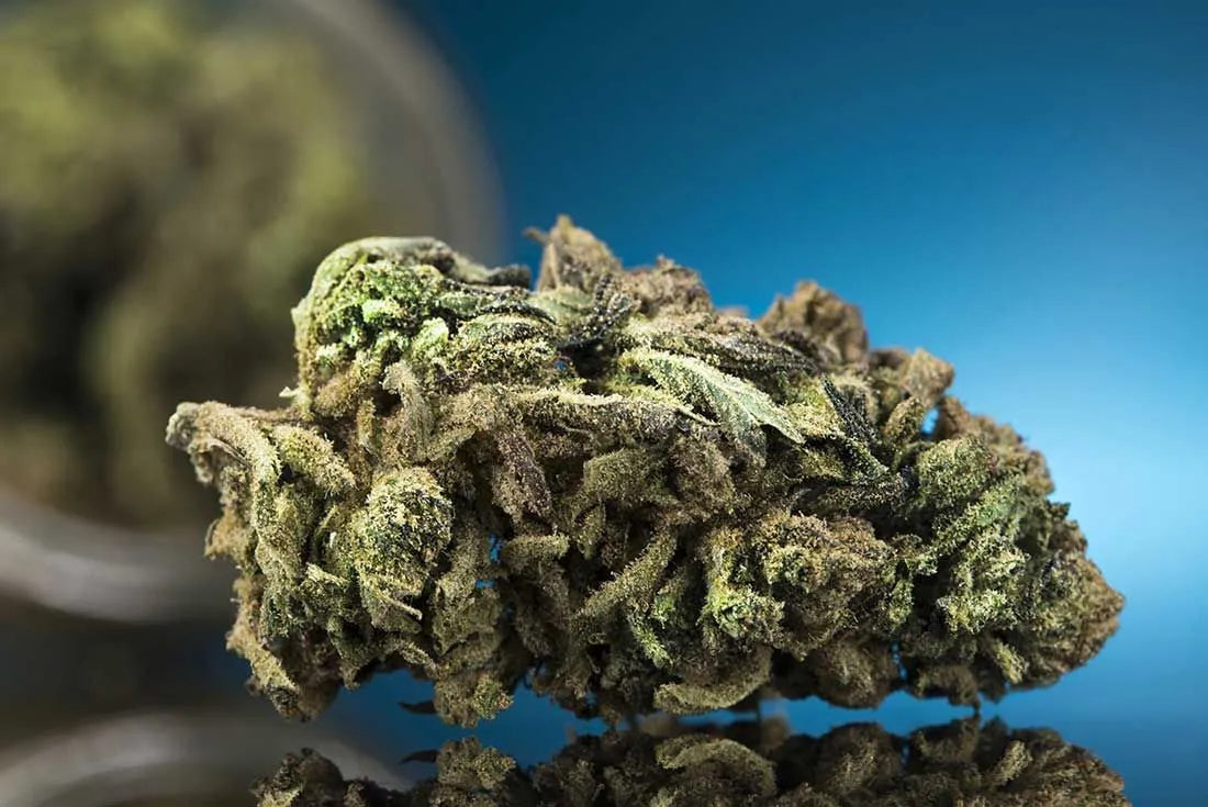 CBD Flower: Nature's Answer To Stress And Anxiety