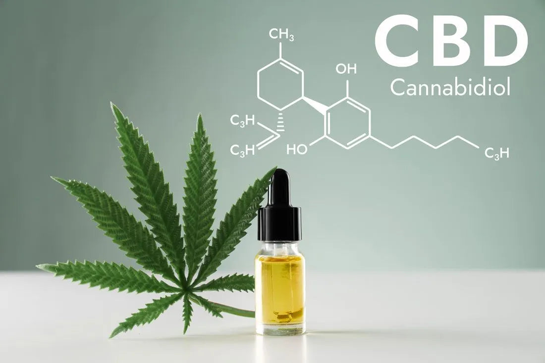 CBD For Sleep: Does It Really Work?