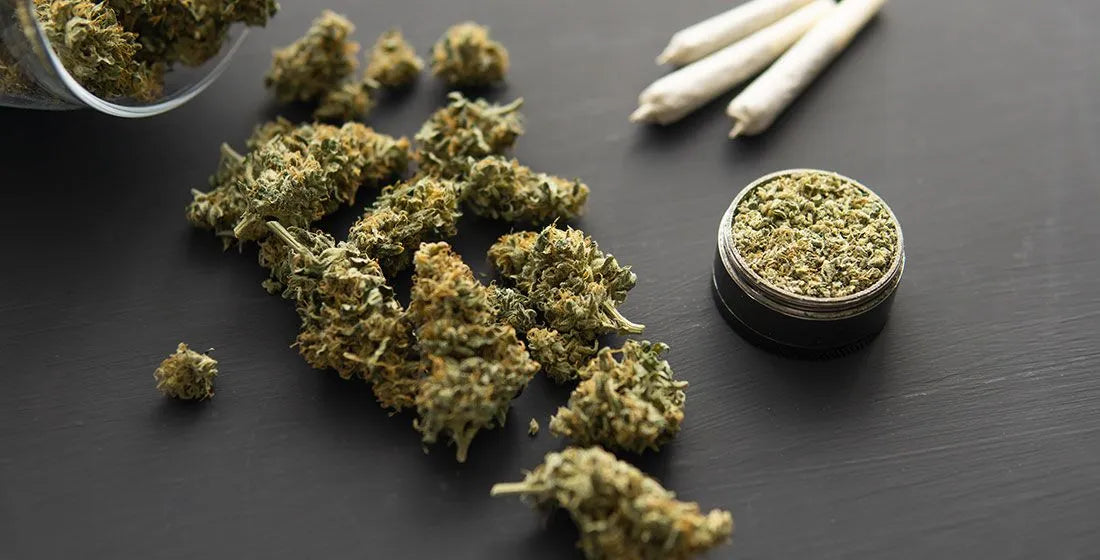 Is Delta-9 Real Weed? Let's Find Out!