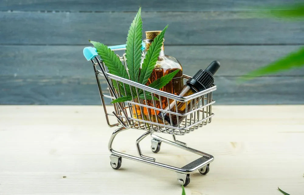 Why Choose An E-Commerce Store For Your CBD Needs?